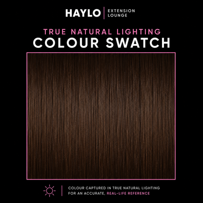 Choc Brown 24 inch 7 Piece Clip in Set